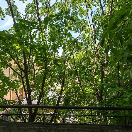 Apartmán Bdin - Center Of